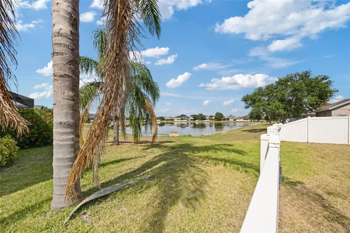 Pond View