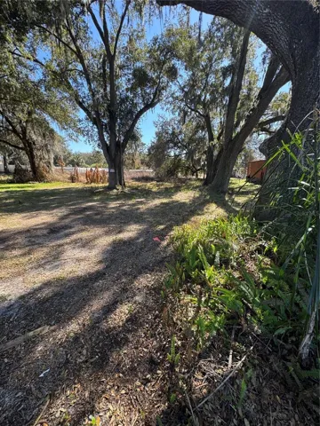 Looking South