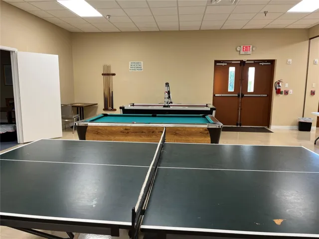 Enjoy table tennis