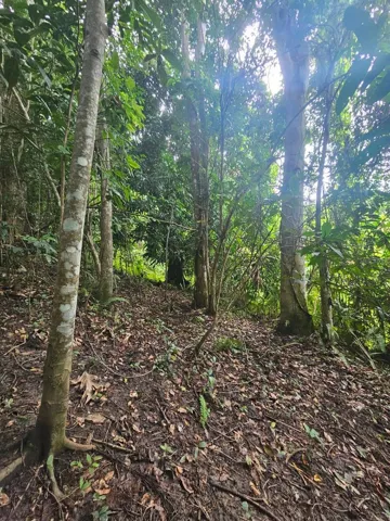 Finca