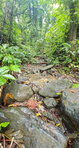 Finca