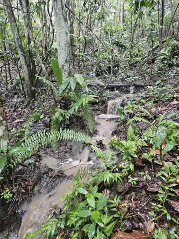 Quebrada