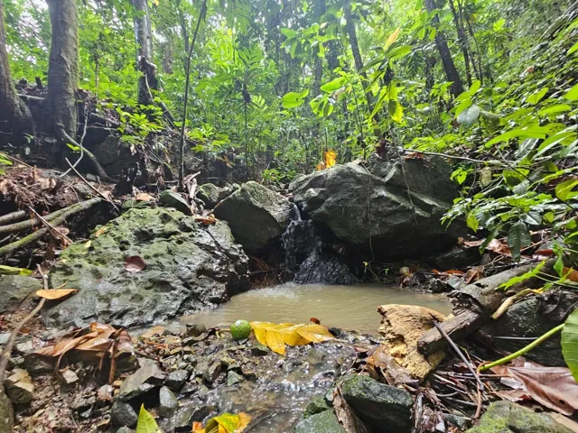 Quebrada