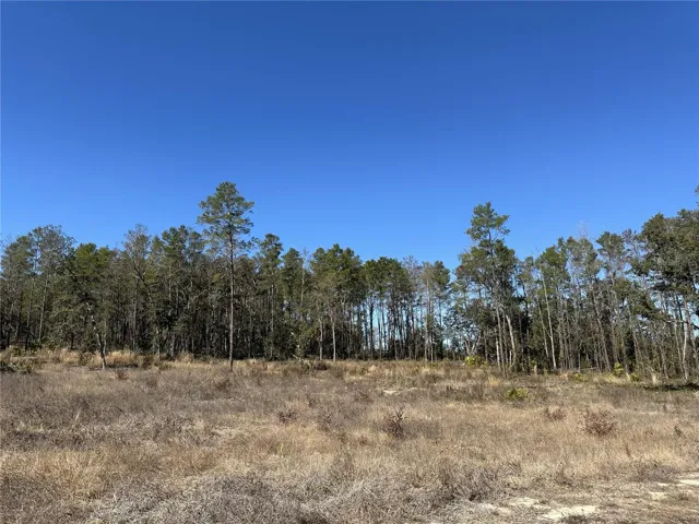 View from private road