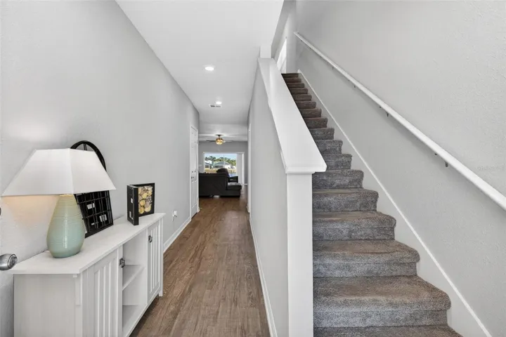 Entrance - Foyer area