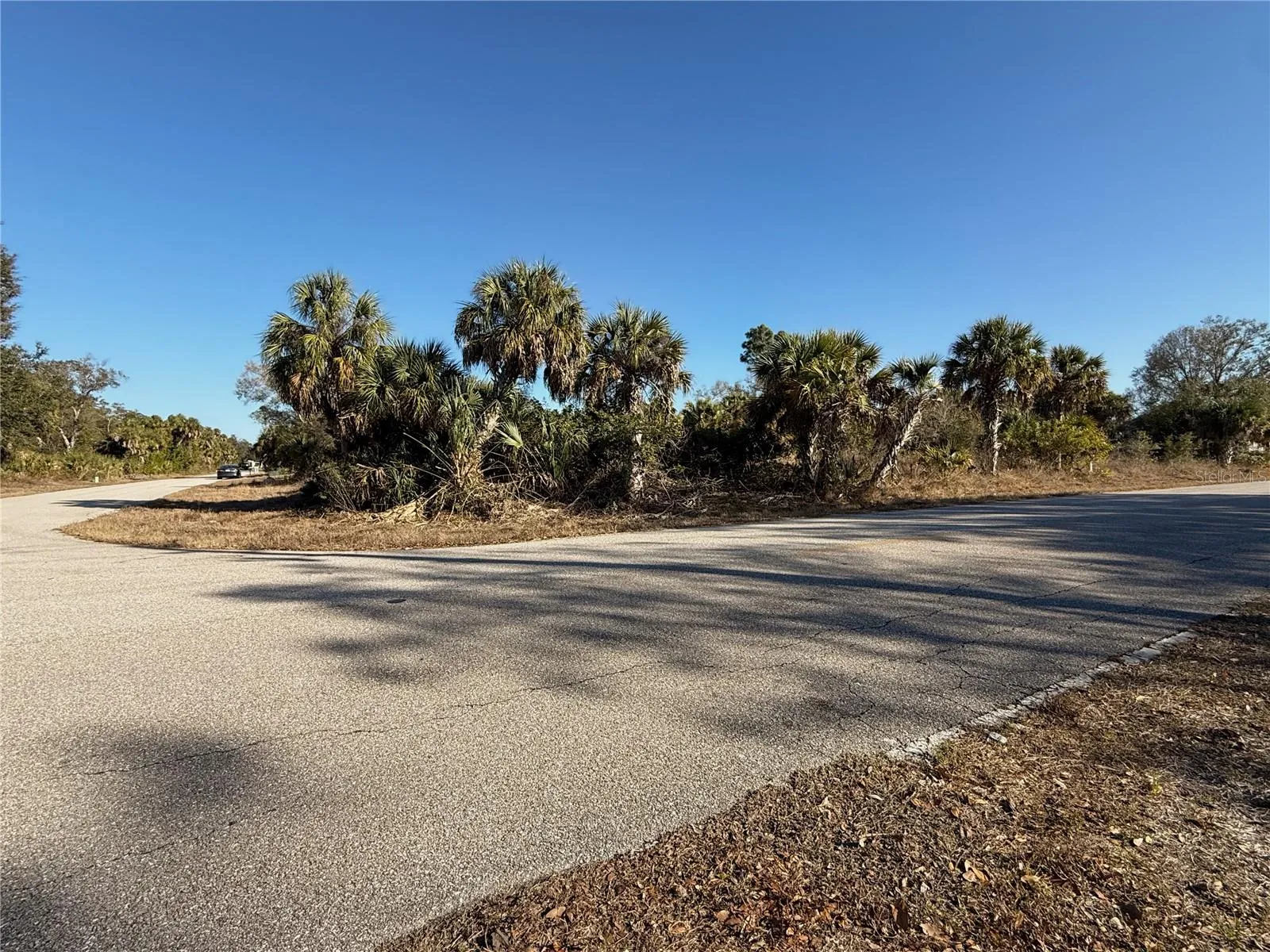 View of corner lot from Warrington Blvd.
