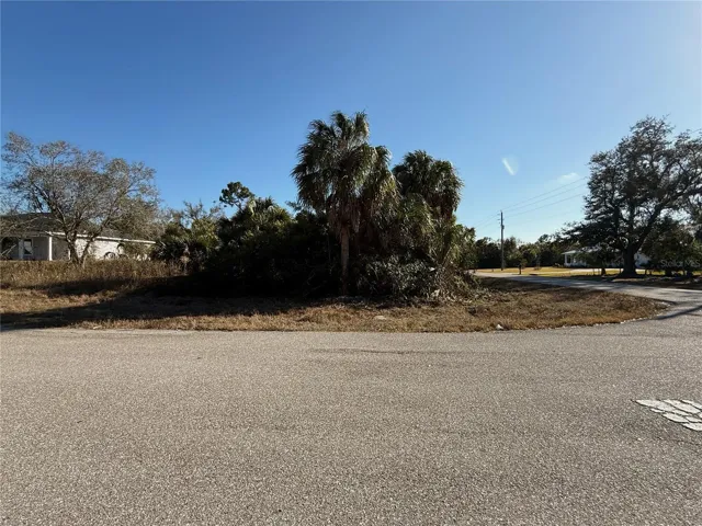View of lot from Strauss Ave.