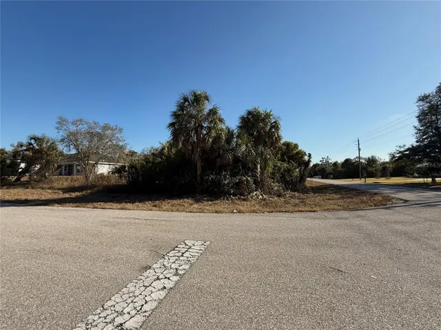 View of lot from Strauss Ave.