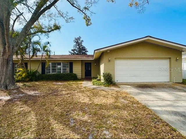 Welcome to 1046 Chinaberry Rd!