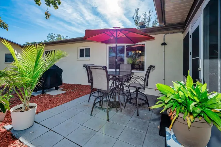 Rear Patio & Grill Area