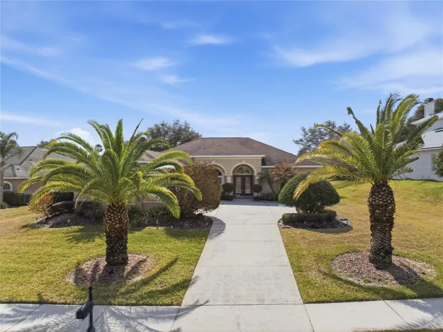 Expansive driveway
