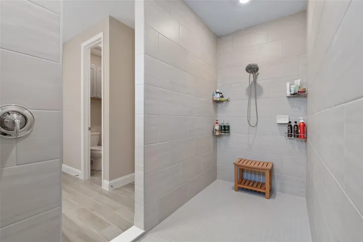 Owner's Bath
