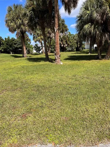 Cleared lot#1