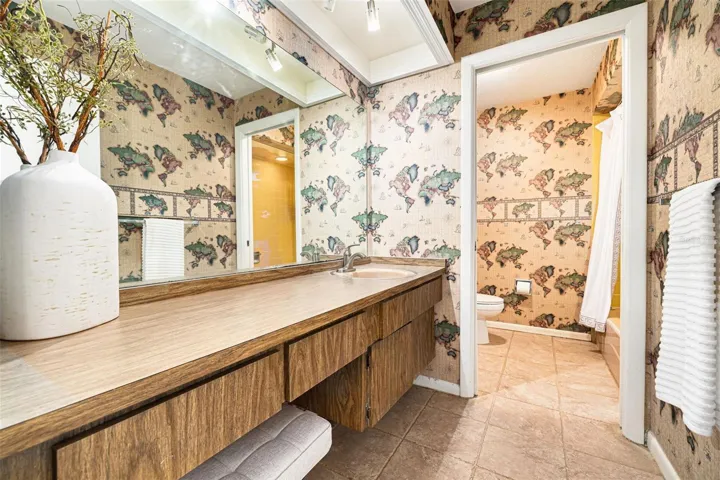 Hall Bathroom