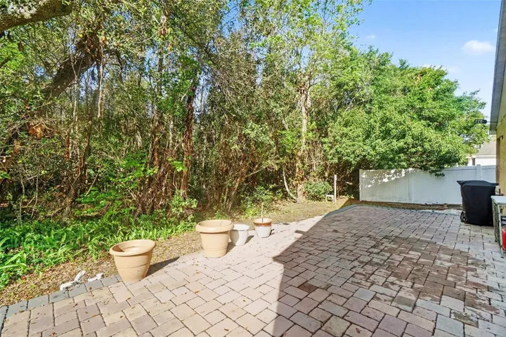 Backyard and Conservation Area