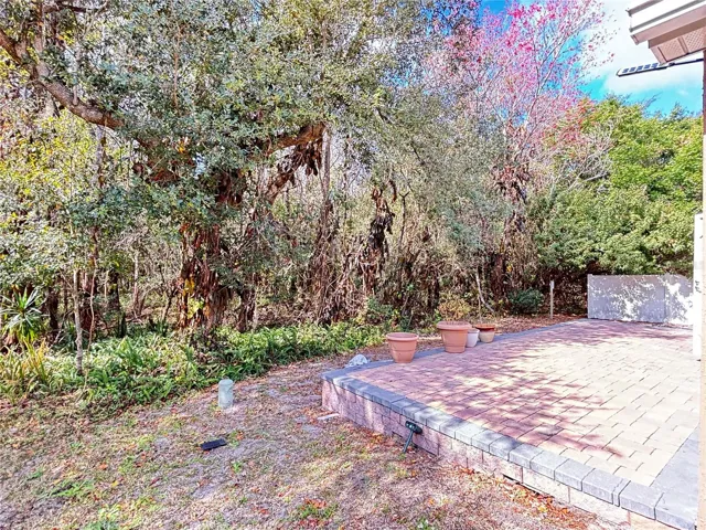 Backyard and Conservation Area