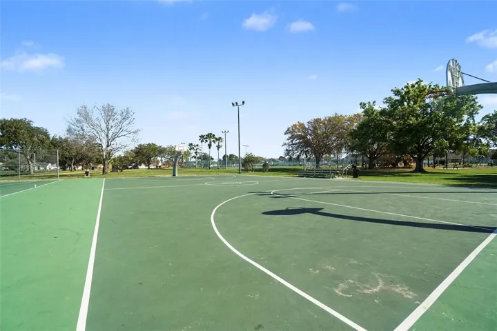 BasketBall Court