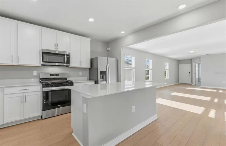 Stylish Kitchen