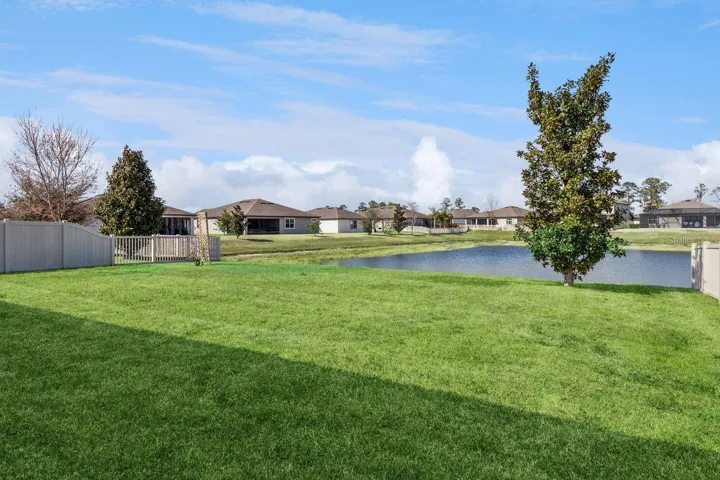 Pond View