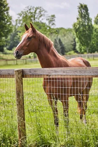 Equestrian Friendly Community
