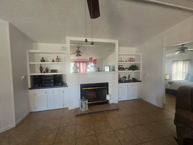 Wood burning fireplace