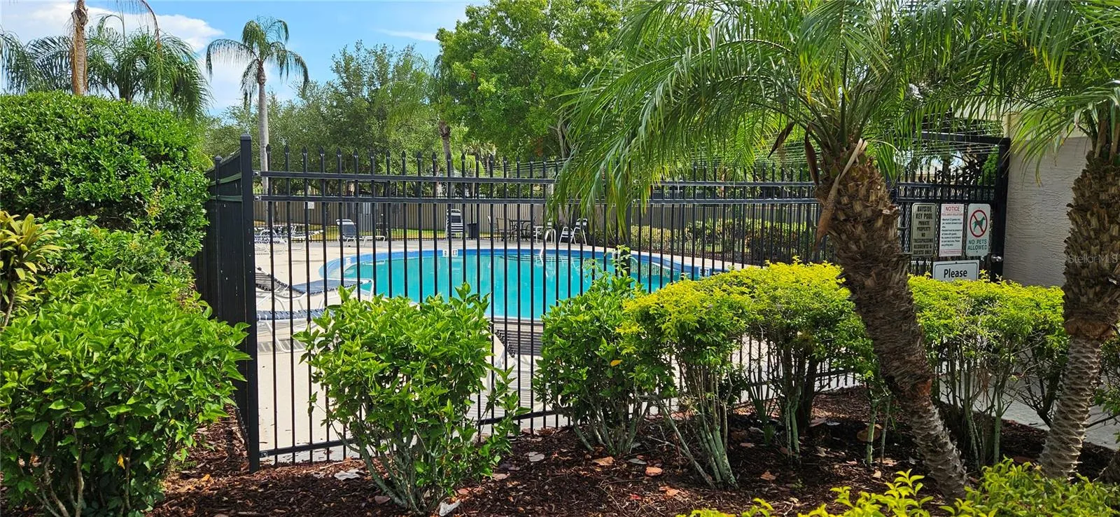 community pool
