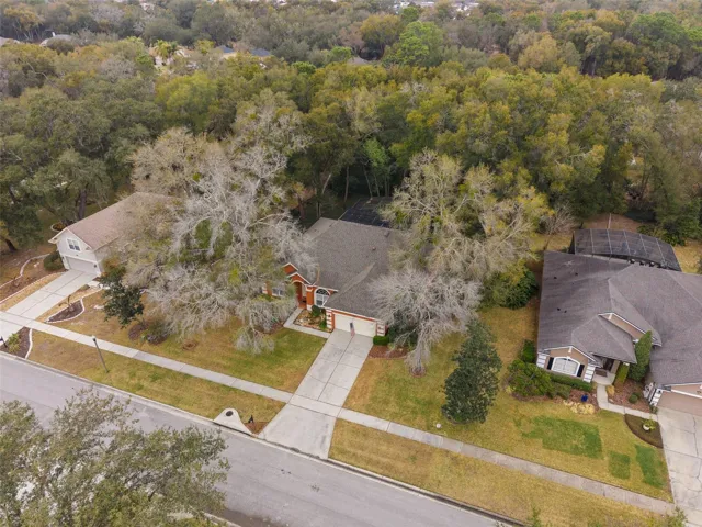 Front Drone View