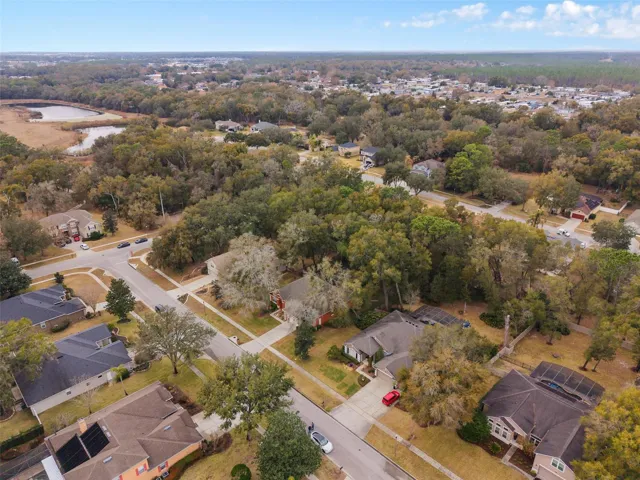 Drone View