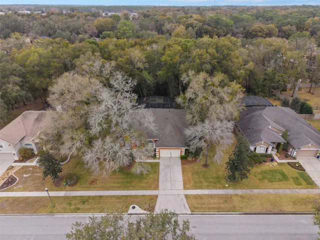 Front Drone View