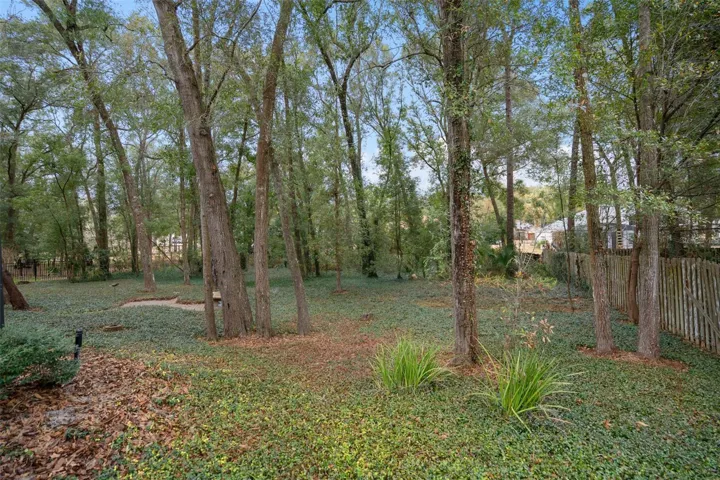 What a Gorgeous Half Acre Setting