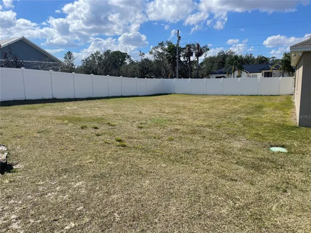 Back Yard