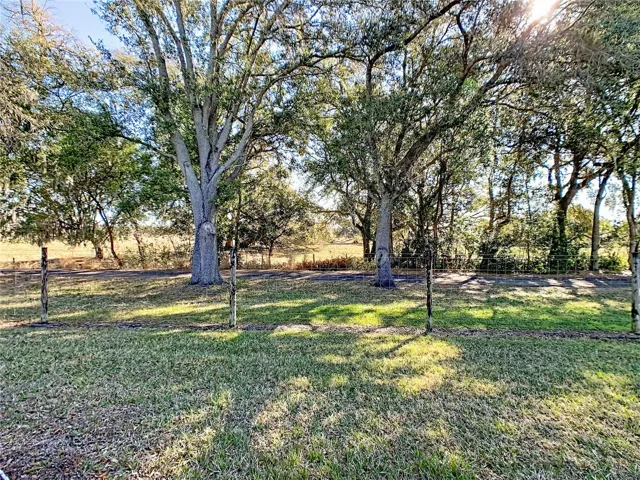 Pasture Behind Home