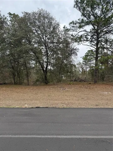 Lot with built home behind