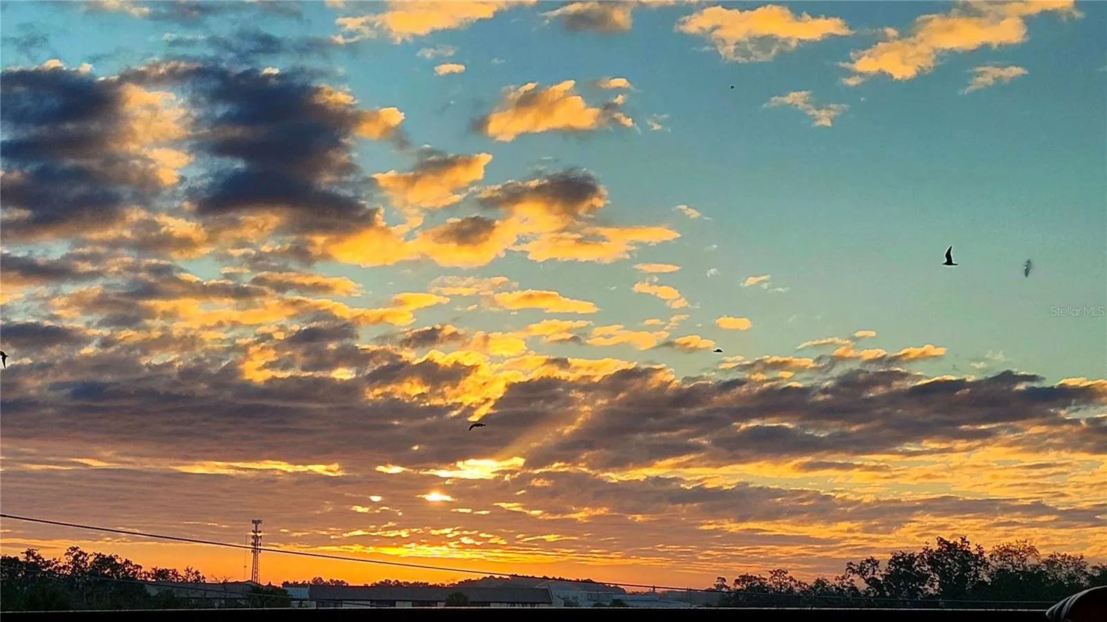 Sunset :)