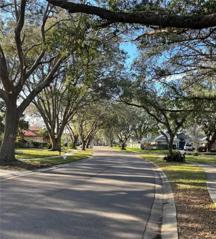 Tree-lined Streets throughout