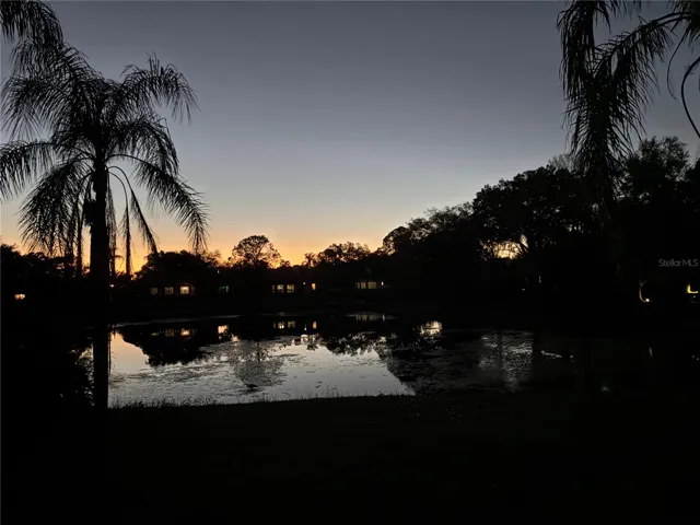 Night view of backyard and lake