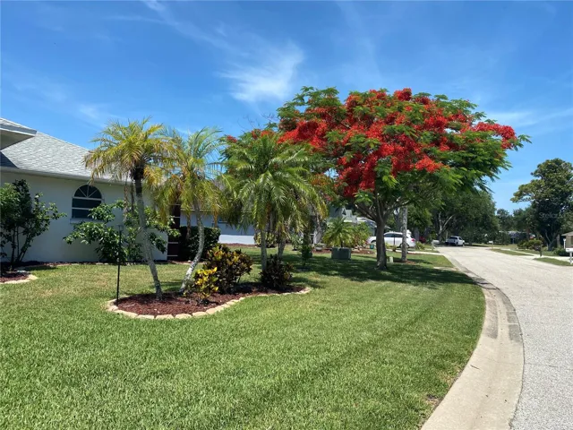 Gorgeous lush yard and beautiful flower trees!