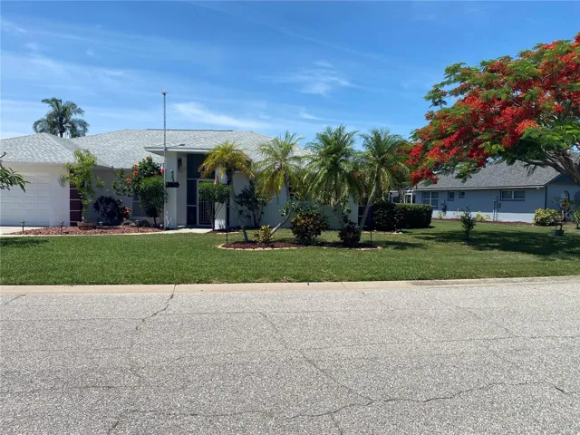 Royal Poinciana with so much shade!