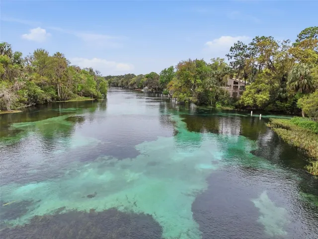 Spring Fed Rainbow River