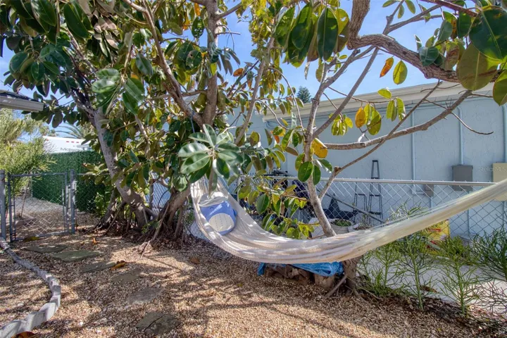 Backyard nap time