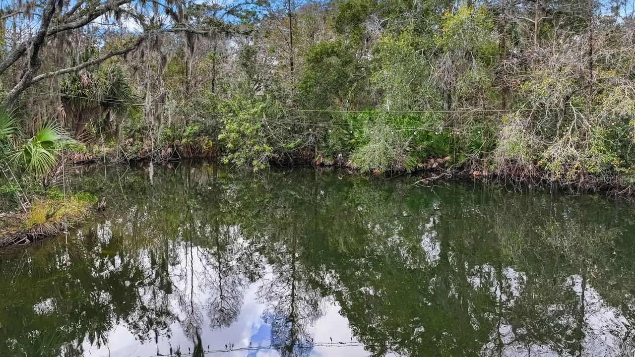 Permitted and stocked pond