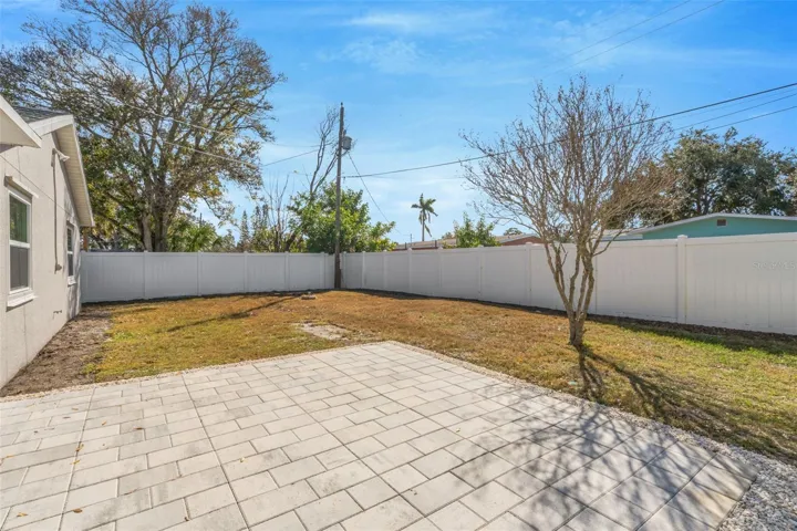 Patio and back yard
