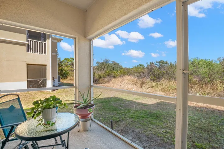 Private screened lanai offering peaceful preserve views with no rear neighbors. The covered outdoor space provides room for seating and casual dining, creating an ideal setting for morning coffee or evening relaxation while enjoying the natural backdrop.