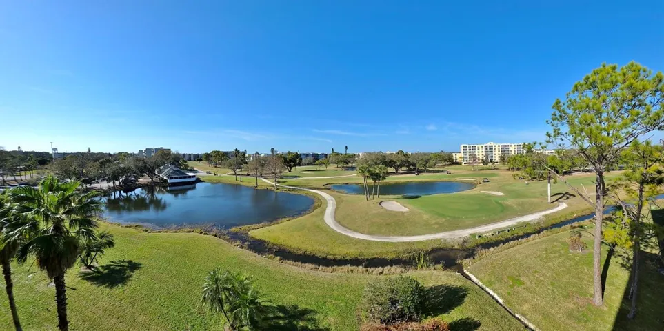 The Views