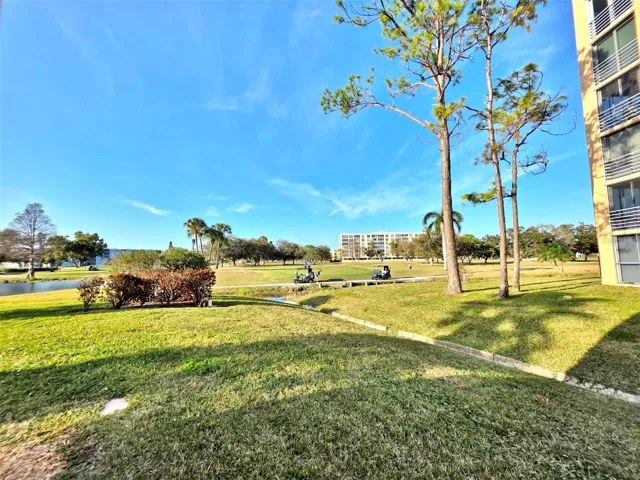 Behind Building View