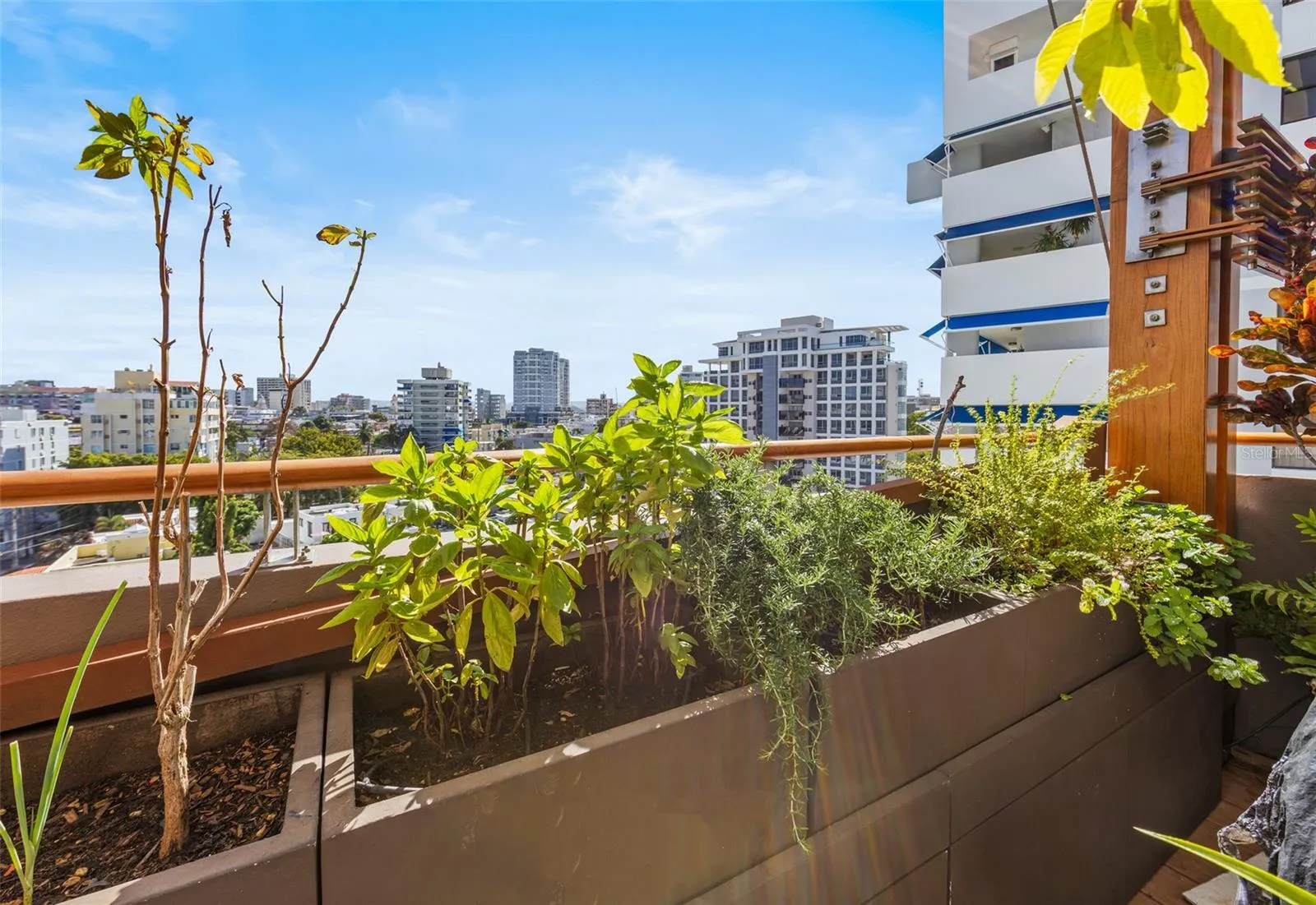 Rear terrace gardening