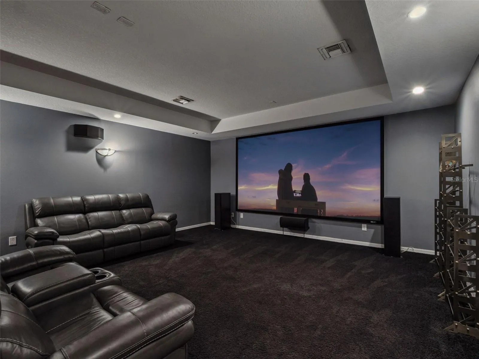 Custom Luxury Theater