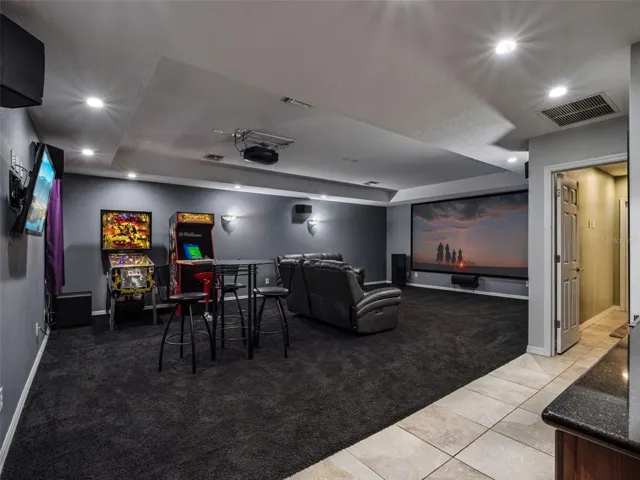 Custom Luxury Theater