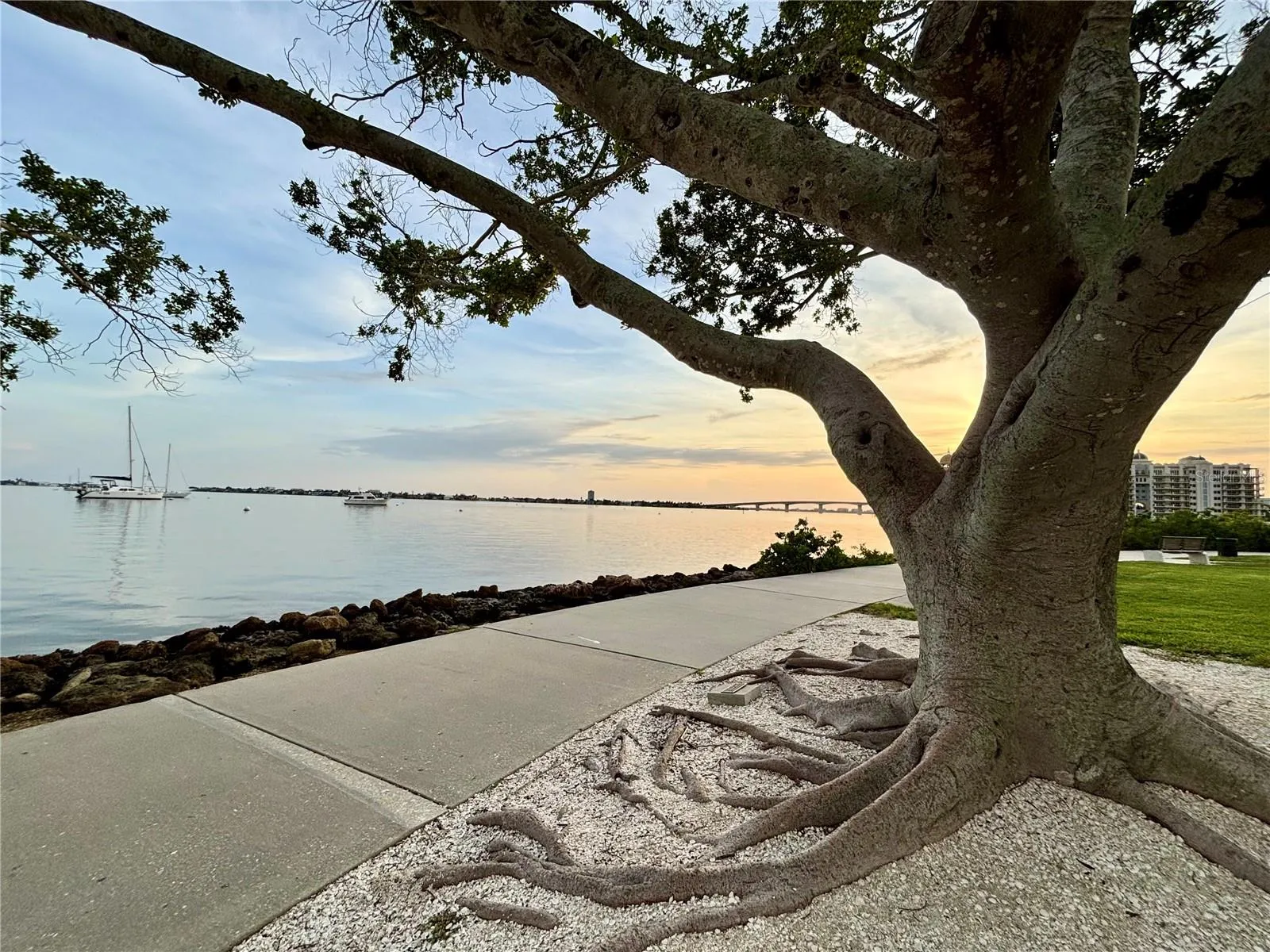 Bayfront Park .25 miles away