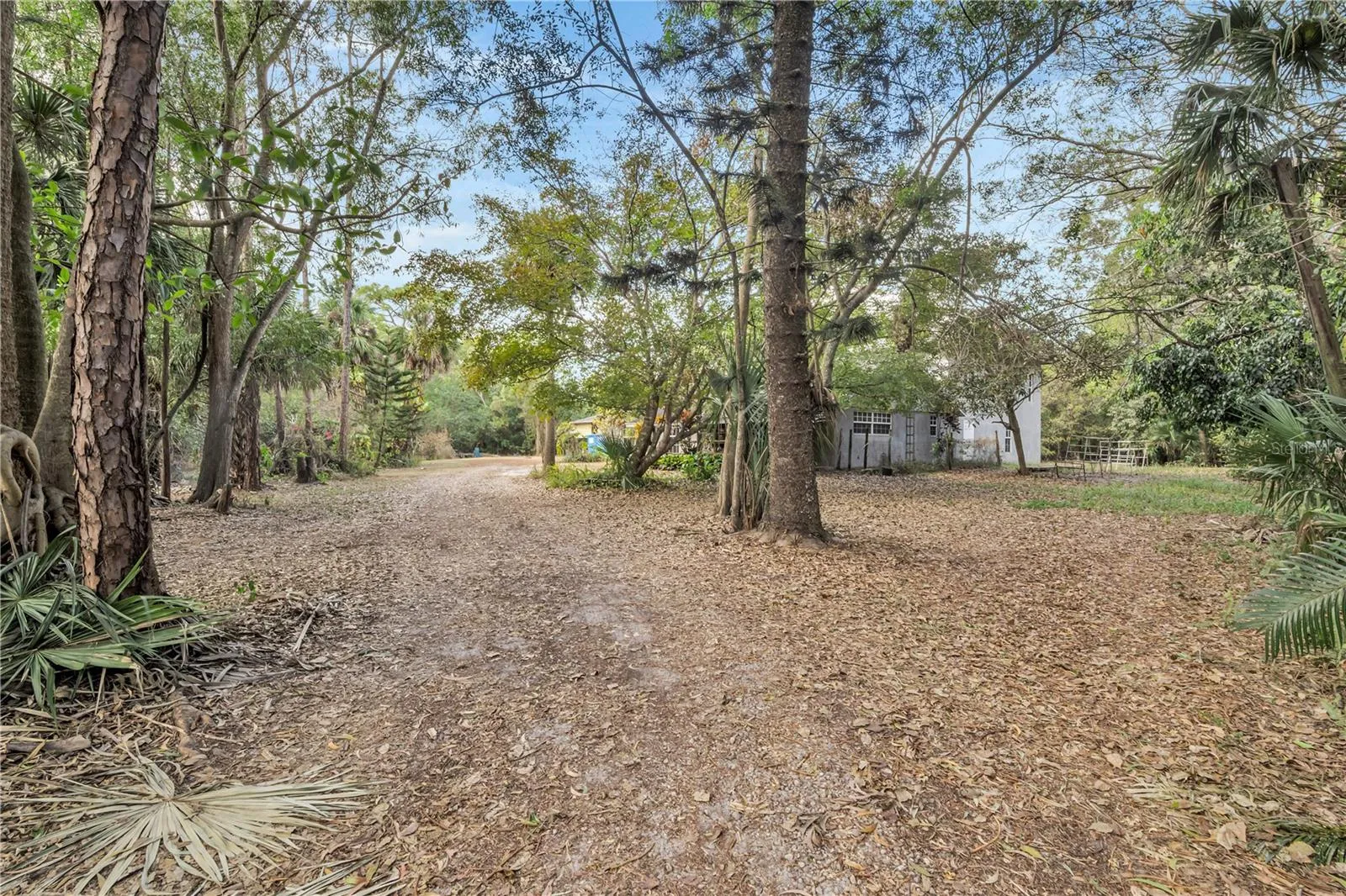 Driveway